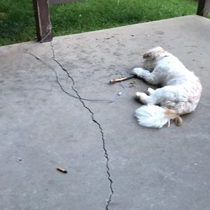 Meet your Posher, Angie